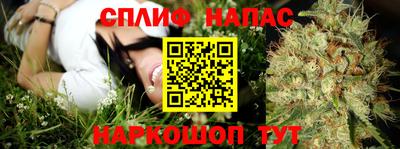 соль ск Моздок